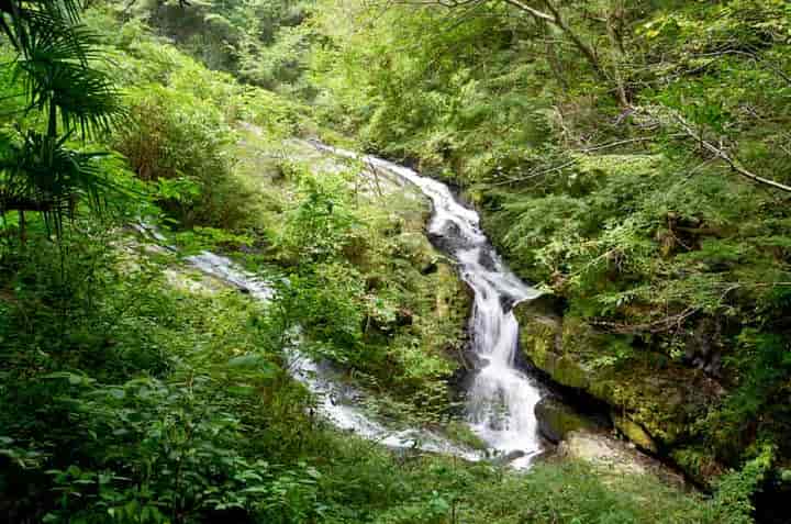 �����Ȃׂ�E����